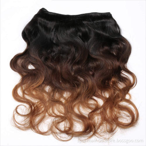 Body Wave Brazilian Human Hair Bundles With 4x4 Lace Closure Body Wave ombre color cheap bundles virgin human hair hair